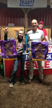 Grand Champion Goat
