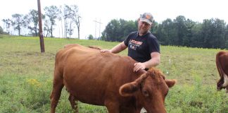 man petting cow