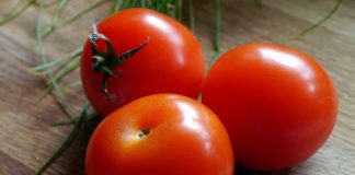 tomatoes