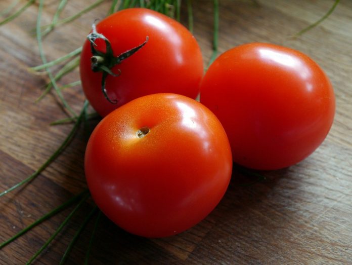 tomatoes tomatoes