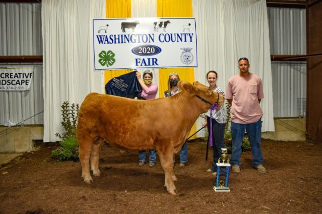 Steer Premier Exhibitor
