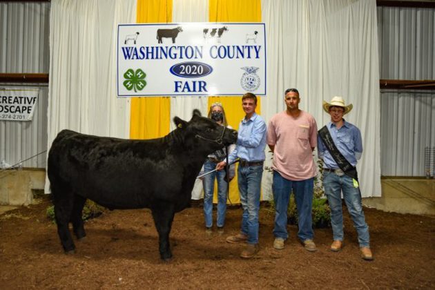 Reserve Champion Steer