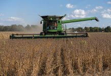 ‘One extreme after another’: Climate change forces region’s ag sector to adjust practices A combine harvesting soybeans in a field.