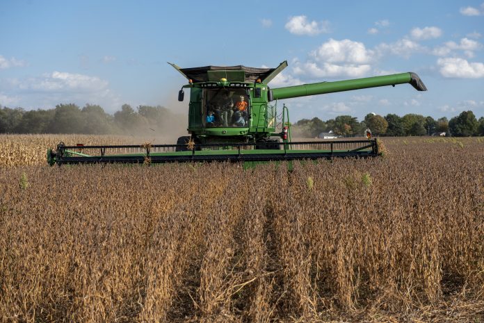 Farmers talk about climate change A combine harvesting soybeans in a field.