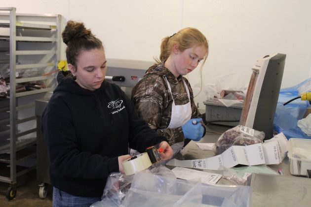 girls packaging venison