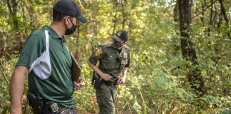 Two wildlife officers walk through the woods.