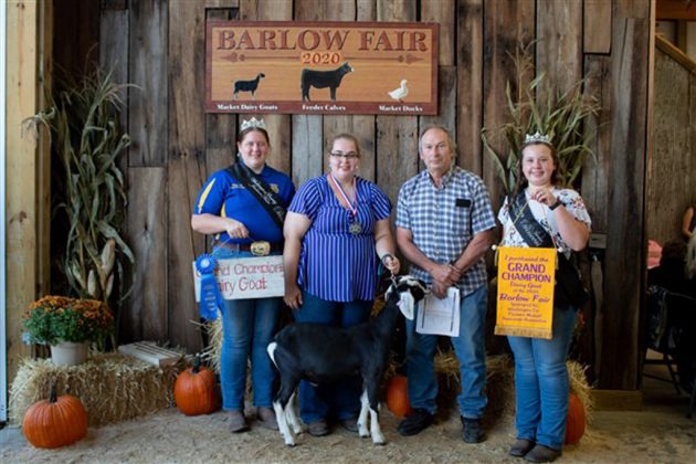 Grand Champion Market Dairy Goat