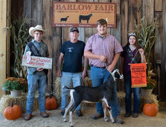 Reserve Champion Market Dairy Goat