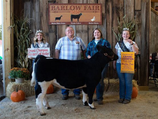 Grand Champion Feeder Calf Heifer