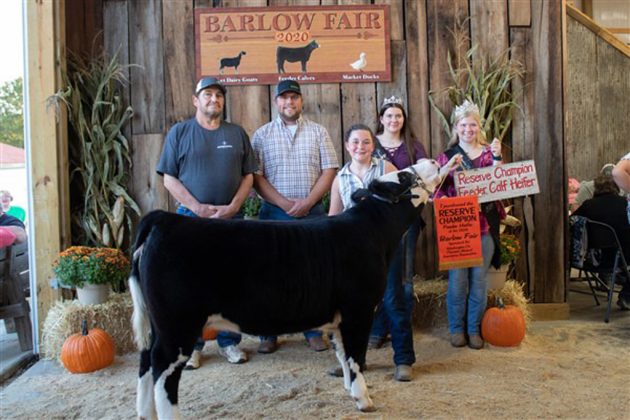 Reserve Champion Feeder Calf Heifer