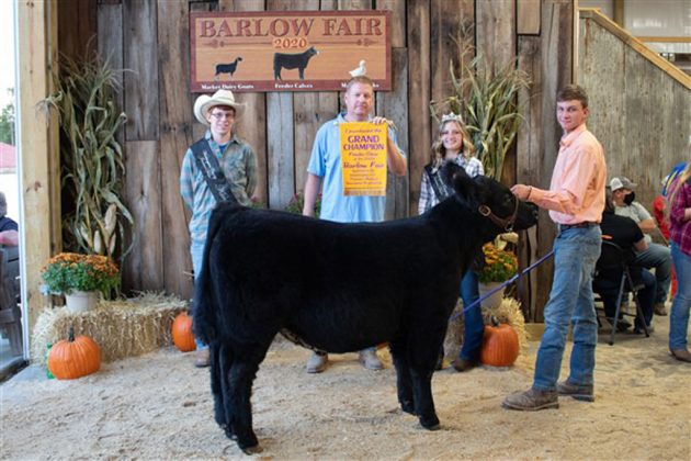 Grand Champion Feeder Calf Steer