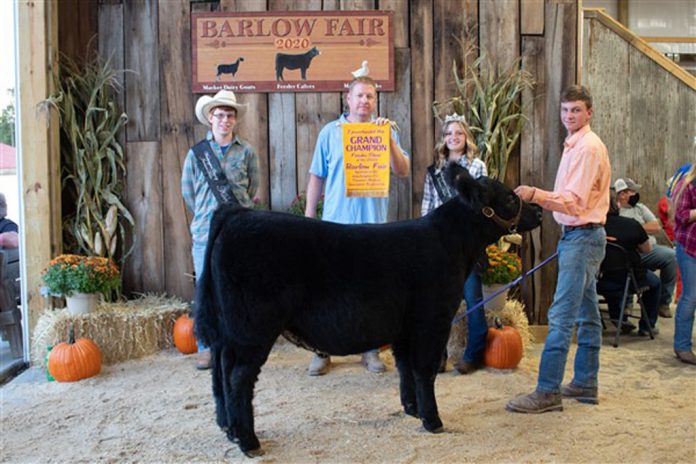 Grand Champion Feeder Calf Steer Grand Champion Feeder Calf Steer