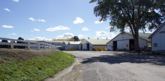 Barns at the Wayne County Fair.