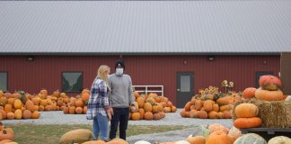 A woman and a man look at pumpkins outside of a barn.