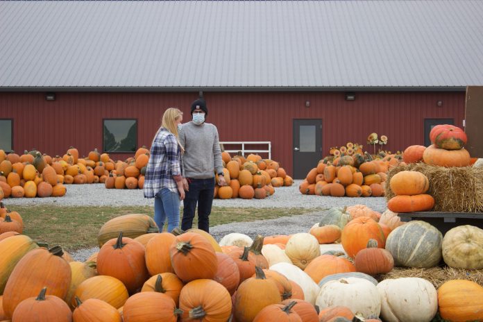 agritourism_2 A woman and a man look at pumpkins outside of a barn.