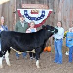 Grand dairy beef feeder
