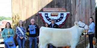 Grand steer