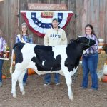 Reserve dairy beef
