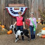 Reserve dairy goat