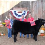 Reserve steer