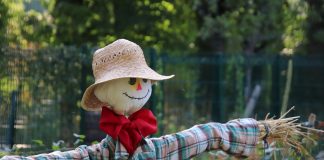 scarecrow