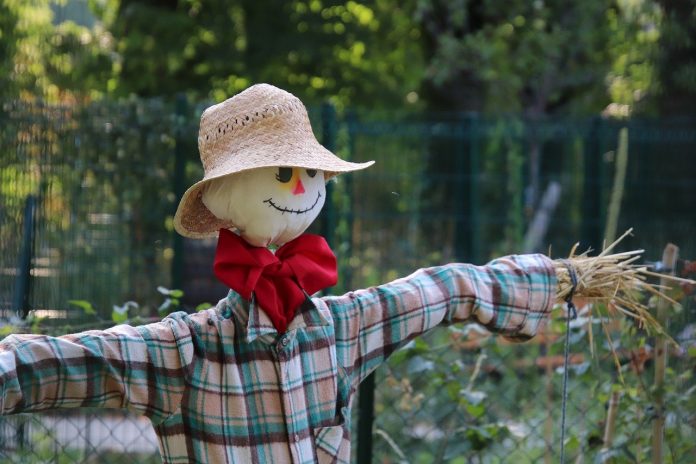 scarecrow scarecrow