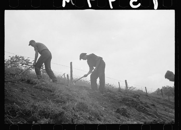 CCC workers in west virginia