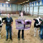 Dairy beef feeder