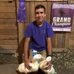 Grand ducks