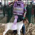 Reserve wether