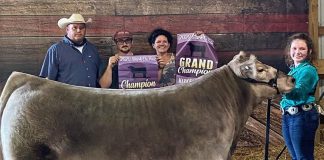 Grand beef