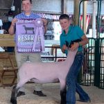 Reserve lamb
