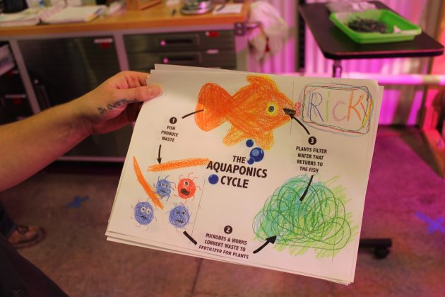 aquaponics