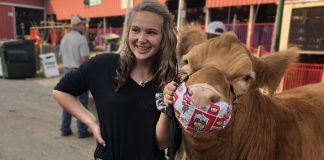 Charity steer