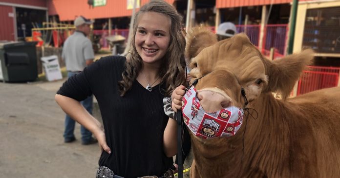 Charity steer Charity steer