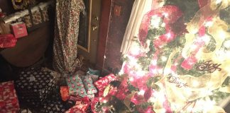 Kym Seabolt's Christmas tree