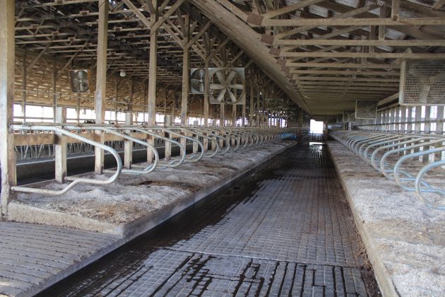 empty free stall barn