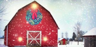 Christmas barn