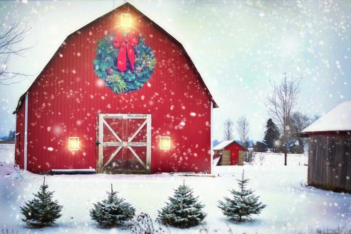 Christmas barn Christmas barn