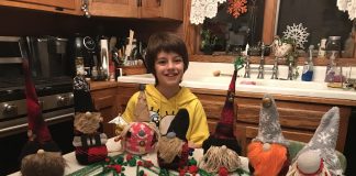Fuzzy Christmas Gnomes