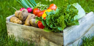 vegetables in a wooden crate set down on the grass.