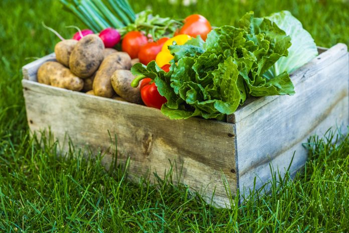 metro veggie pic vegetables in a wooden crate set down on the grass.