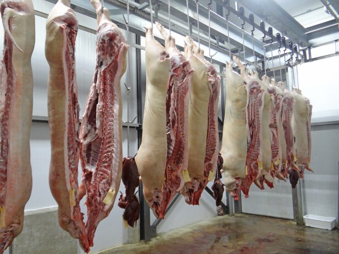 hanging pork at a slaughterhouse hanging pork at a slaughterhouse
