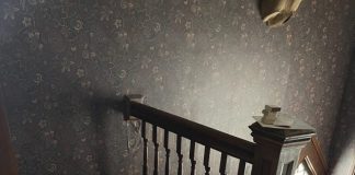 Kym Seabolt's bathtub in the hallway