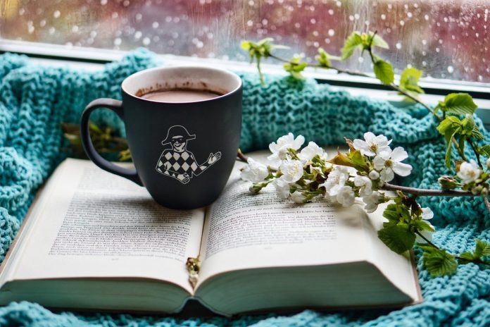 at-home-4980360_1280 hot cocoa, book, blanket