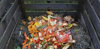 compost