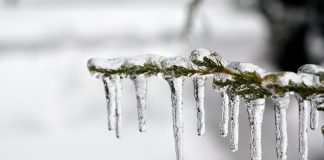 ice