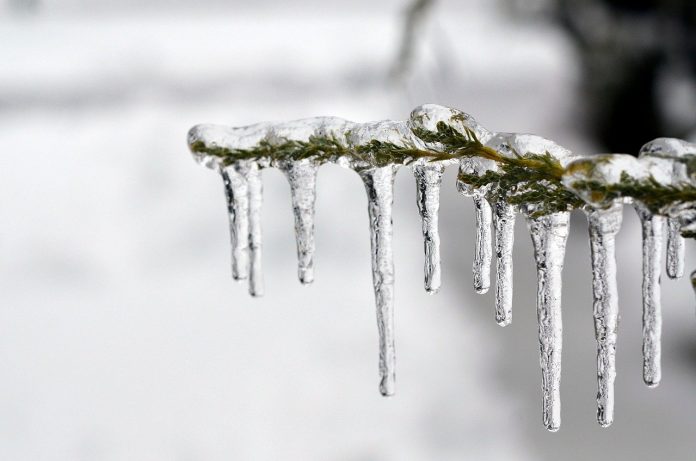 ice ice
