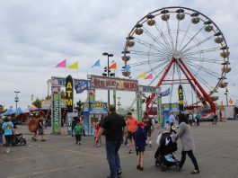 People and amusement rides at a fair.