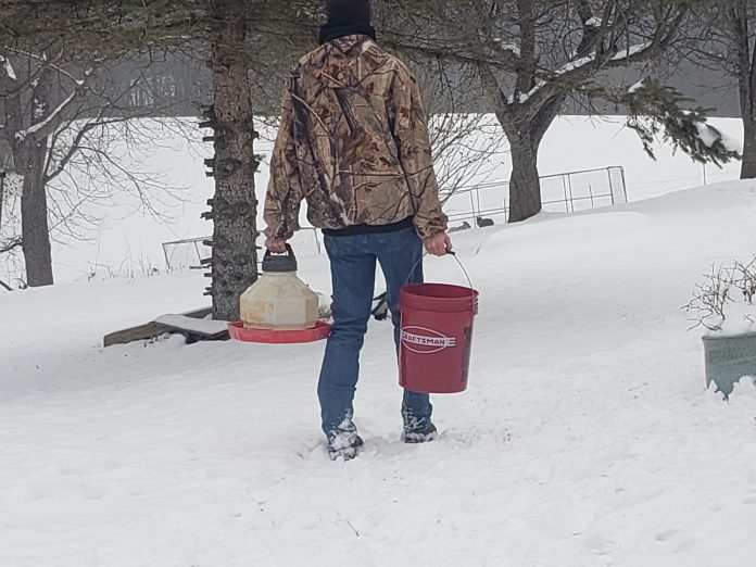 frozen bucket frozen bucket